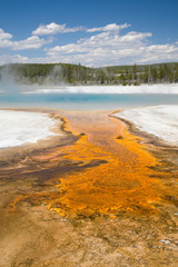WY, Yellowstone National Park, Black Sand Basin, Rainbow Pool, and colorful bacterial mat