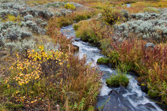 Autumn Creek, Yellowstone National Park