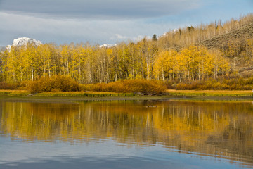 Autumn, Oxbow, Grand Teton National Park, Wyoming, USA