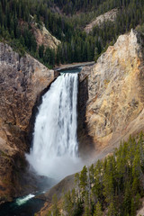 Fototapeta na wymiar Lower falls from Lookout Point, Grand Canyon of the Yellowstone River, Yellowstone National Park, Wyoming, USA