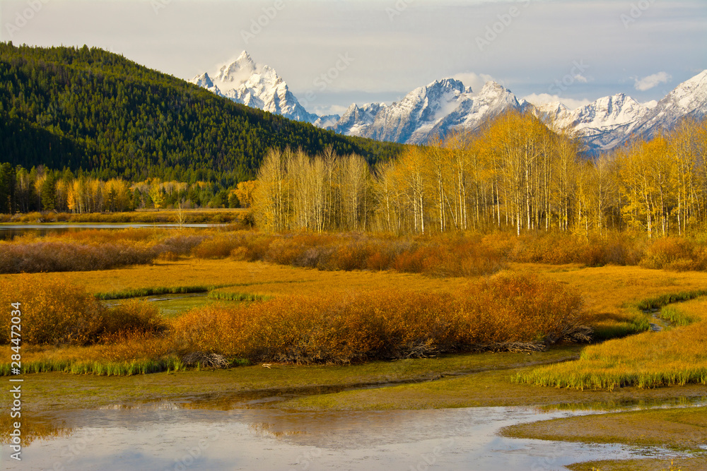 Sticker autumn, oxbow, grand teton national park, wyoming, usa