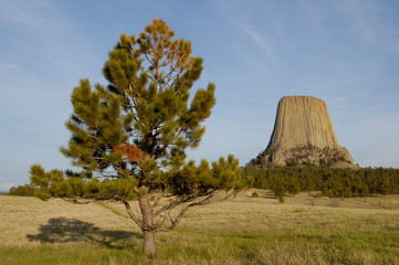 Devils Tower National Monument East Wyoming. USA