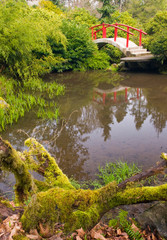 Fototapeta na wymiar USA, WA, Seattle. Kubota Gardens moon bridge in early spring. The brochure explains the moon bridge symbolizes the difficulty of living a good life Hard to walk up and hard to walk down