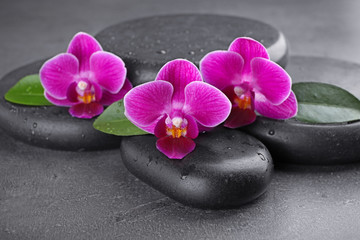 Fototapeta na wymiar Wet spa stones and orchid flowers on grey background