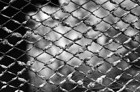old grunge metal mesh fence texture background in white-black color. Dark atmosphere image. Steel rusty wire mesh fence Monochrome. Metal grid pattern. copy space. shallow depth, soft selective focus
