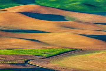 Obraz premium USA, Washington State, Palouse, Spring Rolling Hills of Wheat and Fallow fields