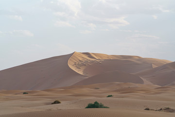 Fototapeta na wymiar Sahara desert in Marocco