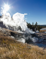 Norris Geyser Basin, Yellowstone National Park, Wyoming, USA