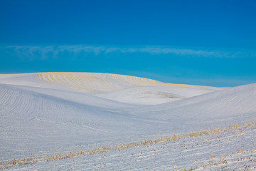 USA, Washington State, Palouse Country, Patterns in Snow Covered Wheat Fields
