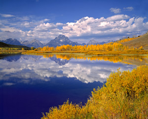 USA, Wyoming, Grand Teton NP. Golden aspen trees line the banks of the Snake River at Oxbow Bend in...