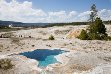 WY, Yellowstone National Park, Upper Geyser Basin, Blue Star Spring