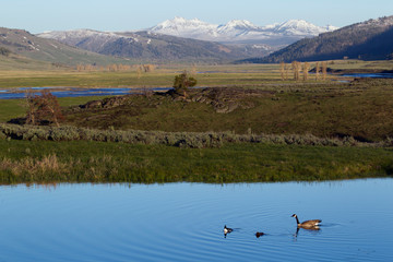 Lamar Valley, Yellowstone