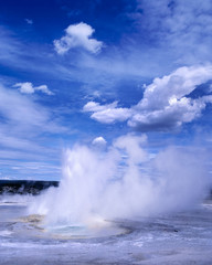 Naklejka premium USA, Wyoming, Yellowstone NP. Billowing steam rises from Norris Geysers, Yellowstone NP, a World Heritage Site, in Wyoming.