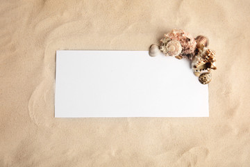 Flat lay composition with sea shells and blank card on sand, space for text
