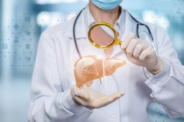 The concept study of the liver.