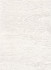 Fototapeta na wymiar A fragment of a wooden panel hardwood. Oak. Design for floors, houses and cottages