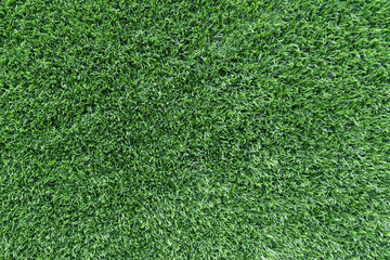 Obraz premium Green grass texture background.