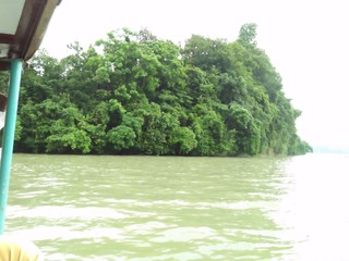 landscape with trees and lake