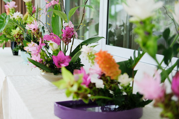 Fototapeta na wymiar siam tulip flower arrangement in japanese ikebana