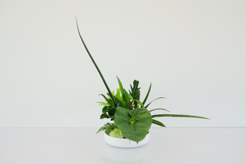 green leaves arrangement in japanese ikebana