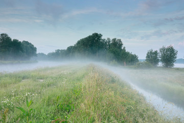 serene misty morning over river