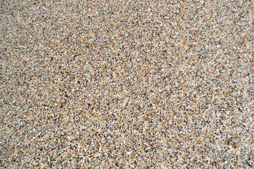 Background from fragments of sea shells on the seashore