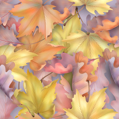 Autumn leaves background