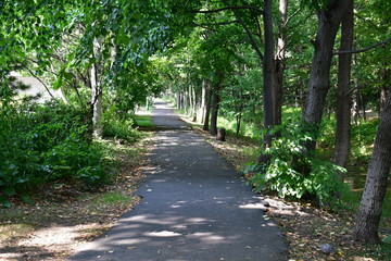 精進川 遊歩道1