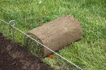Laying of a rolled lawn, modern technologies of landing of a grass in landscape design