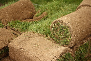 Roll lawn close up, modern technologies of grass planting in landscape design