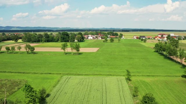 Aerial view of a tree agricultural lands in different shades of green on a bright and sunny day
