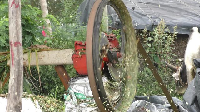 Chaff cutter machine at rural side
