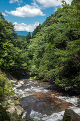 Fototapeta na wymiar 緑の森と布の滝の下の流れ