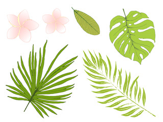 Eco set of tropical plants. Jungle exotic selection of frangipani flowers, palm leaves, monstera leaves. EPS8 vector illustration