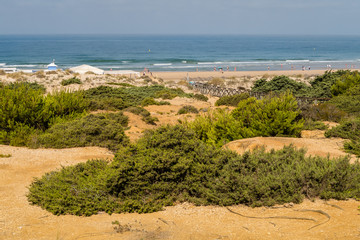Fototapeta na wymiar Sand dunes on the beach of La Barrosa in Sancti Petri, Cadiz, Spain