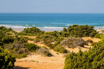 Sand dunes on the beach of La Barrosa in Sancti Petri, Cadiz, Spain