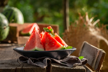 Closeup of sweet watermelon in sunny garden