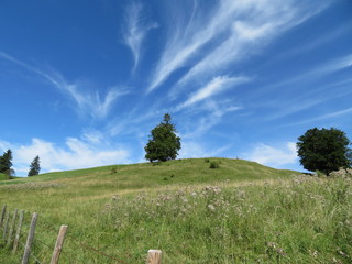 Kraft der Natur