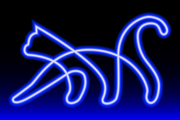 blue neon sign cat on gradient background