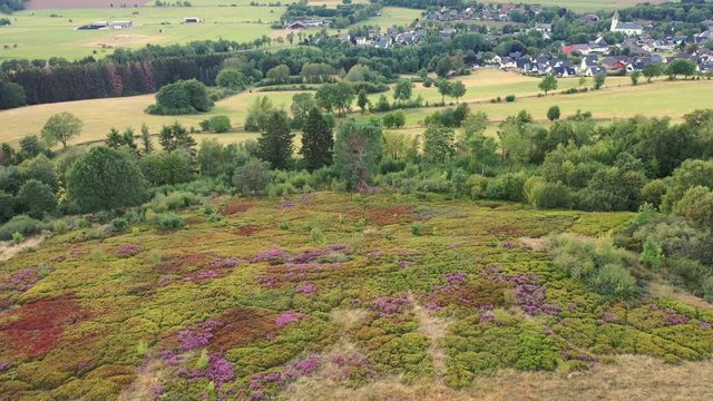 Camera flies over Hochheide area of Brilon Scharfenberg. It flies from the heath up in the direction Scharfenberg.