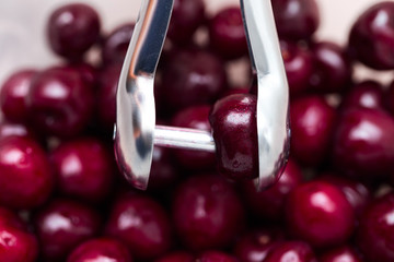 Removal of cherry seeds, pitted cherries, berries and fruit harvesting, preparation of sweet filling