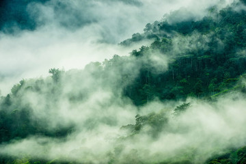 Beautiful landscape of foggy mountain forest in Ecuador near the Nanegalito..