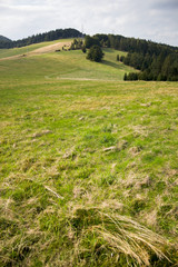 landscape with green field and blue sky