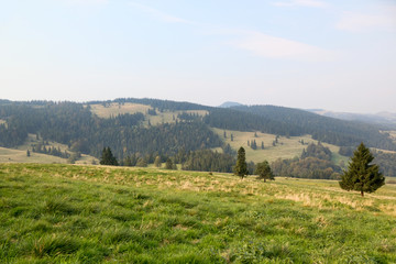 Naklejka premium View of Little Pieniny mountain range in early autumn in brightening, Poland