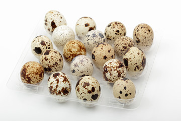 Obraz premium quail eggs isolated on white background