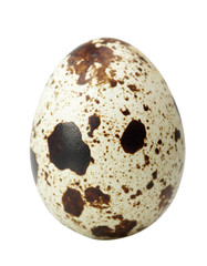 quail eggs isolated on white background