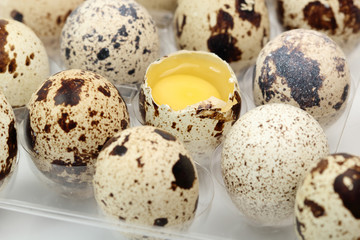 Obraz premium quail eggs