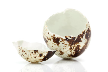 Quail Eggshell