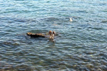 Fototapeta premium Boka Kotorska bay in Montenegro