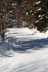 Fototapeta na wymiar Mountain road in winter